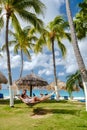 Couple in a hammock at Palm Beach Aruba Caribbean, white long sandy beach with palm trees Antilles Royalty Free Stock Photo