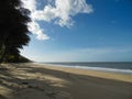 palm beach cairns australia with palm trees by the ocean with waves Royalty Free Stock Photo