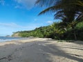 palm beach cairns australia with palm trees by the ocean with waves Royalty Free Stock Photo