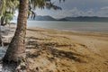 Palm beach on the shores of the Andaman Sea. Thailand