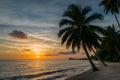 Palm beach sunset, serene coastal scenery, tropical paradise