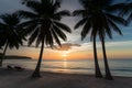 Palm beach sunset, serene coastal scenery, tropical paradise