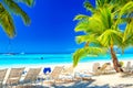 Palm beach on tropical idyllic paradise Island. Vacation and travel concept. Sunbeds and Palms, Saona Island, Dominican Republic Royalty Free Stock Photo