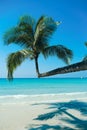 Palm Beach In Tropical Idyllic Paradise in Koh Kood island, Thailand. Beautiful tropical beach blue sky and coconut palm trees. Royalty Free Stock Photo