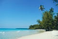 Palm Beach In Tropical Idyllic Paradise in Koh Kood island, Thailand. Beautiful tropical beach blue sky and coconut palm trees. Royalty Free Stock Photo