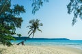 Palm Beach In Tropical Idyllic Paradise in Koh Kood island, Thailand. Beautiful tropical beach blue sky and coconut palm trees. Royalty Free Stock Photo