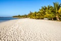 Palm beach Royalty Free Stock Photo