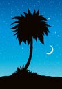 Palm on beach. Vector drawing Royalty Free Stock Photo