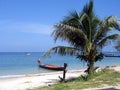 Palm and boat on a beach