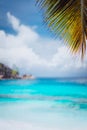 Palm branch against blue ocean, blurred background, summer abstract backdrop design, beach vacation travel exotic Royalty Free Stock Photo