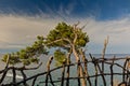 Palm branch on the background of mountains and sky. Royalty Free Stock Photo