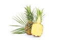 Palm branch, whole and half pineapple isolated on white background Royalty Free Stock Photo