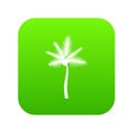 Palm butia capitata icon digital green
