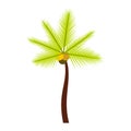 Palm butia capitata icon, flat style