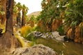 Palm Canyon, Palm Springs Royalty Free Stock Photo