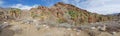 Palm Canyon Panorama