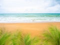 Palm or coconut leaves with Blue sea and blue sky with sand beach at coast. ocean Phuket Island in thailand. tropical nature Royalty Free Stock Photo