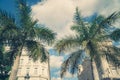 Palm coconut tree on blue sky background with copy space, vintage style, tropical coast. Royalty Free Stock Photo