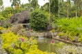 Palm collection in ÃÂity park in Kuching, Malaysia, tropical garden with large trees, pond with small waterfall Royalty Free Stock Photo