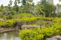 Palm collection in ÃÂity park in Kuching, Malaysia, tropical garden with large trees, pond with small waterfall Royalty Free Stock Photo