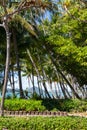 Palm Cove beach sidewalk with ocean view, Queensland, Australia