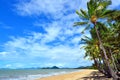 Palm Cove Queensland Australia