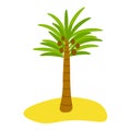 Cute cartoon palm with coconuts on the beach in flat style isolated