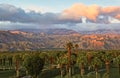 Palm Desert California golf resort palm trees mountains Royalty Free Stock Photo