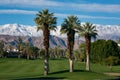 Palm Desert Desert Springs golf course mountains snow capped Palm trees Royalty Free Stock Photo