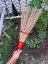 a palm fiber broom