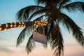 Palm with flashlights on the beach.