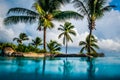 Palm forest,Barbados Royalty Free Stock Photo