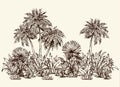 Palm forest. Vector drawing Royalty Free Stock Photo