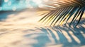 Palm frond casting shadow on sunlit beach sand Royalty Free Stock Photo