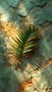 Palm Frond Silhouette on Cracked Turquoise Wall Royalty Free Stock Photo