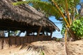 Palm frond thatched roof of shelter beside coconut palm on tropical beach