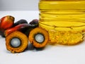 Palm fruits and palm oil, one fruit is cut to show its kernel Royalty Free Stock Photo