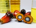 Palm fruits and palm oil, one fruit is cut to show its kernel Royalty Free Stock Photo