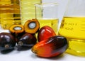 Palm fruits and palm oil, one fruit is cut to show its kernel Royalty Free Stock Photo