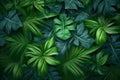 tropical tree forest colourful jungle pattern leaf green nature background palm. Generative AI. Royalty Free Stock Photo