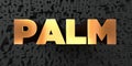 Palm - Gold text on black background - 3D rendered royalty free stock picture