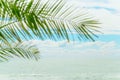 Palm  leaf against the blue sky and water Royalty Free Stock Photo