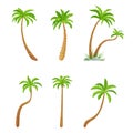 Palm green trees collection, exotic plant set