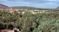 Palm grove of Figuig Royalty Free Stock Photo