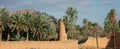 Palm grove of Figuig Royalty Free Stock Photo
