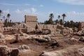 Palm grove of tafilalet in morocco Royalty Free Stock Photo