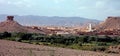 Palm grove of tafilalet in morocco Royalty Free Stock Photo