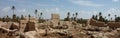 Palm grove of Tafilalet Sijilmassa in morocco Royalty Free Stock Photo