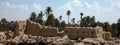 Palm grove of Tafilalet Sijilmassa in morocco Royalty Free Stock Photo