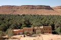 Palm grove of tafilalet in morocco Royalty Free Stock Photo